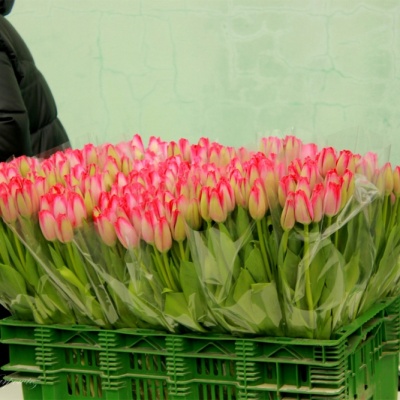 8 marca 2014 r. Białystok 